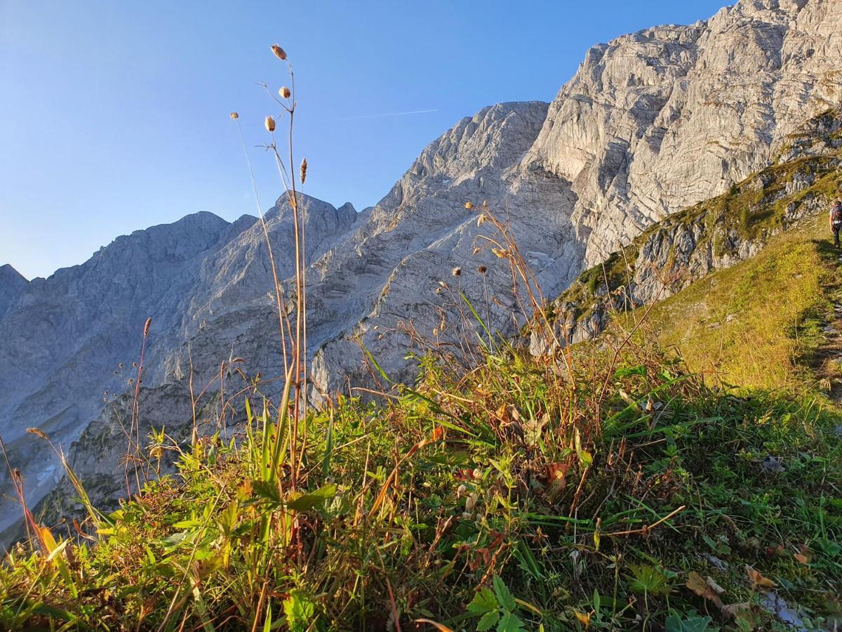 Ferienwohnungen Gaestehaus Laercheck Берхтесгаден Екстериор снимка